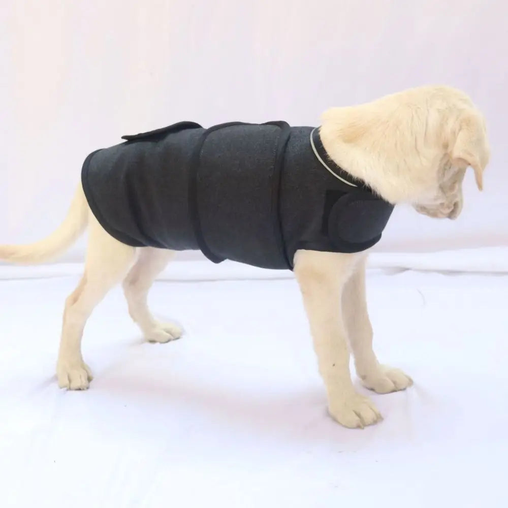 Practical Breathable Dog Anxiety Jacket Comfortable Adjustable Dog Calming Vest Soft Warm Anti Anxiety Pet Coat For Dog Puppy