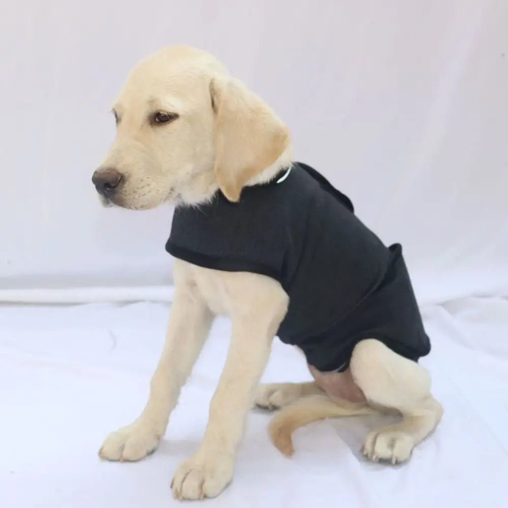 Practical Breathable Dog Anxiety Jacket Comfortable Adjustable Dog Calming Vest Soft Warm Anti Anxiety Pet Coat For Dog Puppy