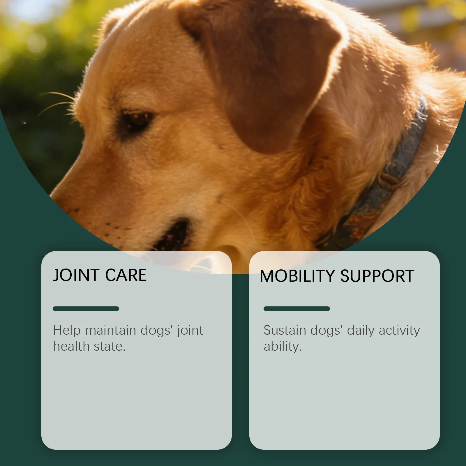 Kriath Dog Joint Chews Hip Joint Health Support Cartilage Reduce Pain Inflammation Improve Mobility Wellness Boost Body Defense