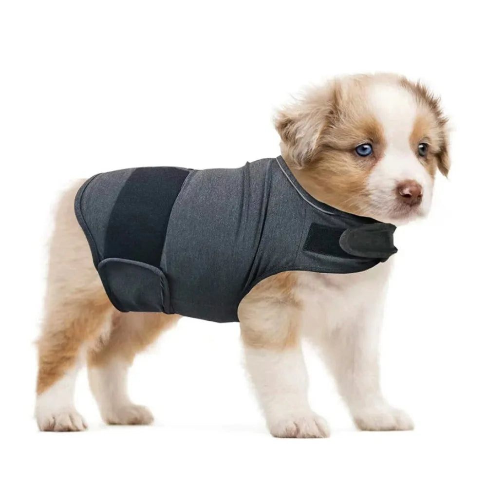 Practical Breathable Dog Anxiety Jacket Comfortable Adjustable Dog Calming Vest Soft Warm Anti Anxiety Pet Coat For Dog Puppy