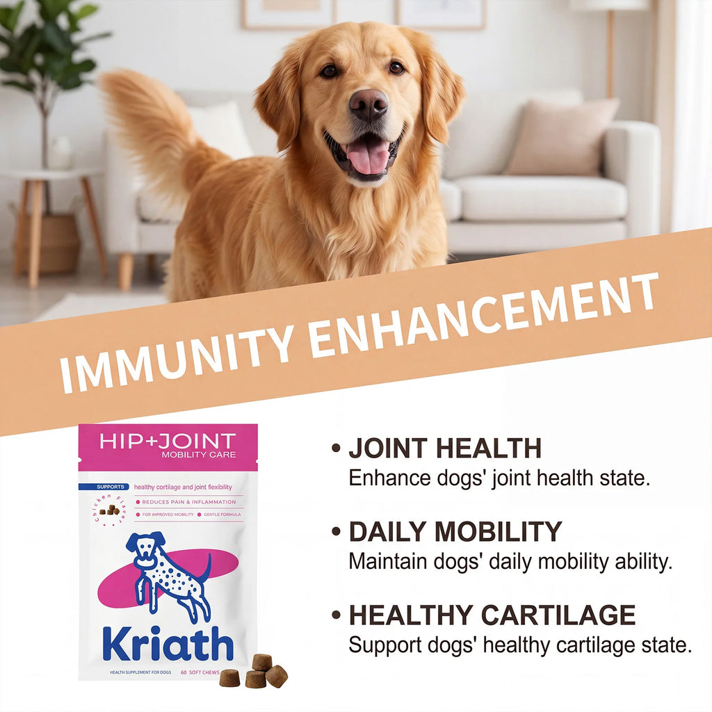 Dog Joint Supplement Soft Chews Cartilage Care Immune Boost Mobility Support Joint Care Support Immune System For All Ages Puppy