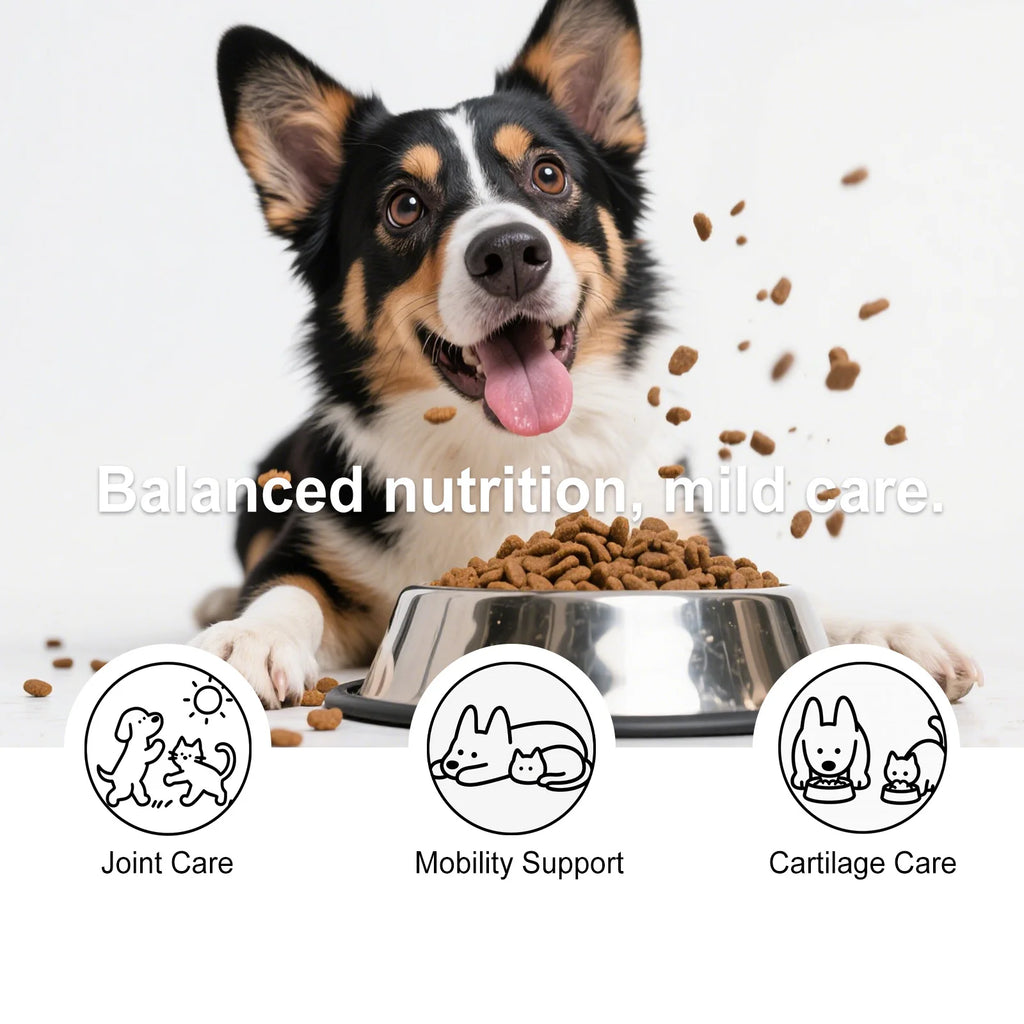 Kriath Dog Joint Chews Hip Joint Health Support Cartilage Reduce Pain Inflammation Improve Mobility Wellness Boost Body Defense