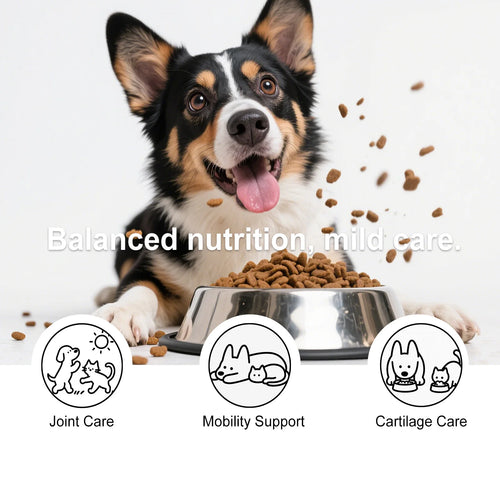 Kriath Dog Joint Chews Hip Joint Health Support Cartilage Reduce Pain Inflammation Improve Mobility Wellness Boost Body Defense
